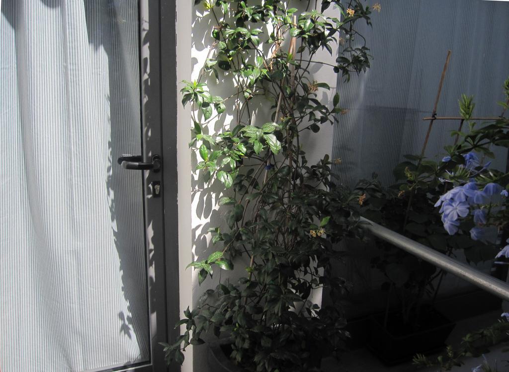 Brancadoria B&B Monteleone Rocca Doria エクステリア 写真