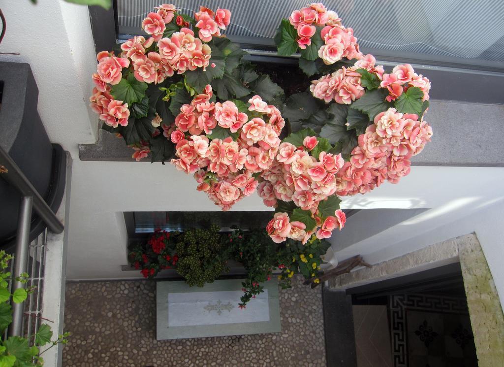 Brancadoria B&B Monteleone Rocca Doria エクステリア 写真